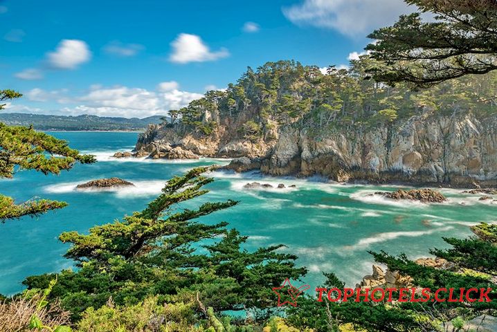 Reserva natural estatal de Point Lobos