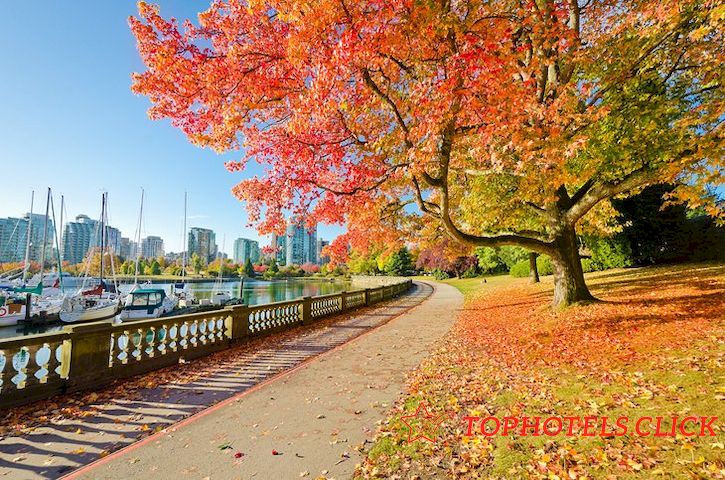 Colores de otoño en Stanley Park