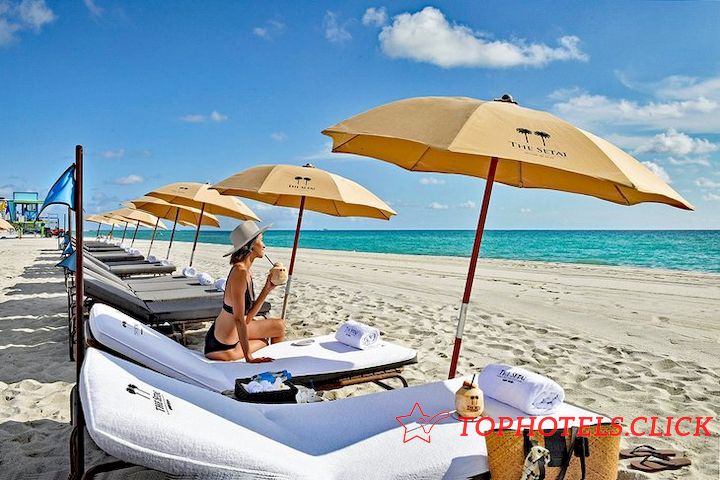 florida best beach resorts the setai miami