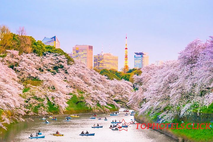 Parque Chidorigafuchi con flores de cerezo