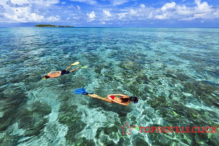 maldives kurumba activities snorkeling