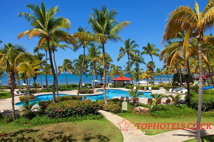 Fuente de la imagen: Copamarina Beach Resort & Spa