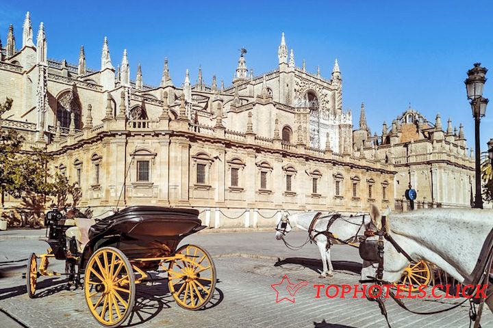 Carruajes tirados por caballos frente a la catedral de Sevilla