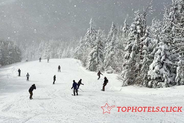 Esquiadores y practicantes de snowboard disfrutando de la nieve fresca en Okemo Mountain Resort